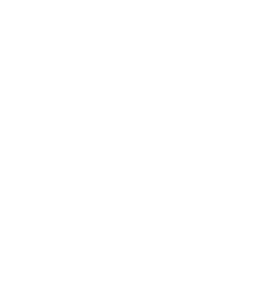 Cellular Holding Company